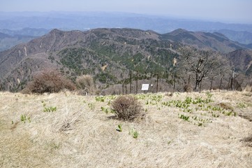 蛭ヶ岳山頂の草むらと展望