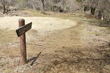 丹沢の道 春の原小屋平