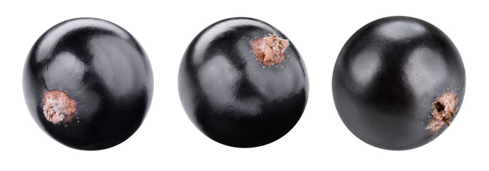 Black currants isolated Clipping Path