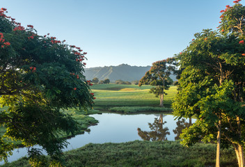 Fototapeta premium Flowering trees frame view of the Na Pali mountains over fairy tale landscape of Kauai