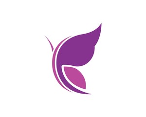 butterfly logo vector template design
