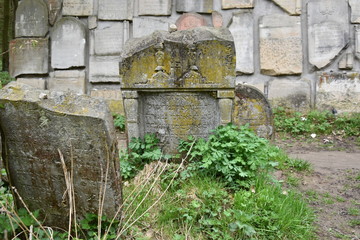Kazimierz Dolny, cmentarz żydowski, kirkut Czerniawy