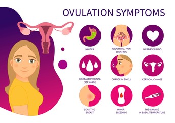 Vector poster ovulation symptoms. Illustration of a cute girl. - obrazy, fototapety, plakaty