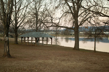 leaf with frost in the sun