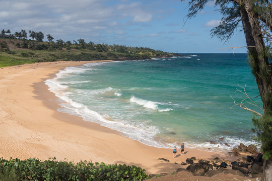 Tourists on Donkeys or Paliku beach on the coast of Kauai in Hawaii