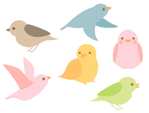 鳥11