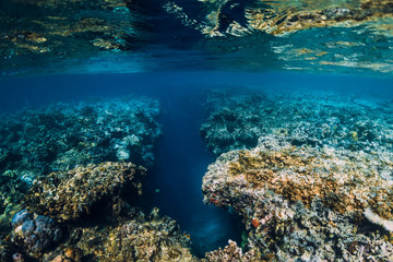 Underwater rocks with corals in blue ocean. Menjangan island