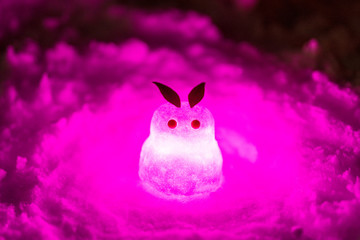 雪うさぎのイメージ