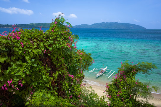 Pink Flower and Small White Fishing Boat on Turquoise Sea - Romblon Island, Philippines