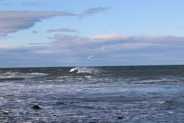 Obraz premium Waves at Sea