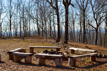 Campfire pit surrounded by benches in the woods