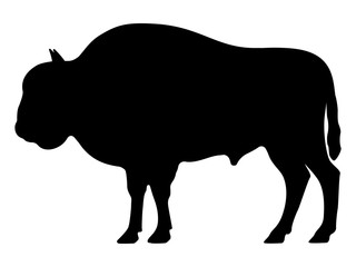 Vector black silhouette of a bison