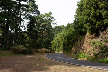 A road from somewhere or to something. Your choice.