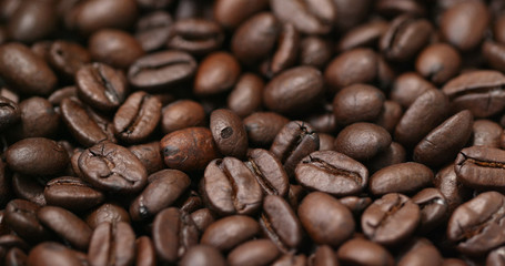 Coffee bean in brown colour