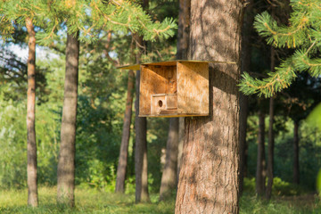 wooden nesting box in the park