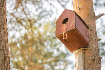 wooden nesting box in the park