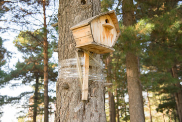 wooden nesting box in the park