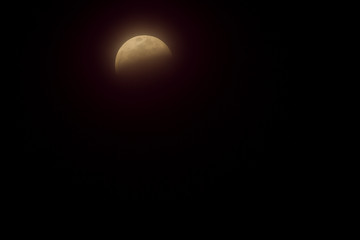 Full Lunar Eclipse in January 2019 is pictured in various stages of the eclipse. The bright white moon turns dark and black and eventually a yellowish orange that glows in the dark night sky