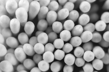 Abstract black and white image close-up, circles soft effect