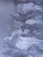 Macro images of frost pattern on window	