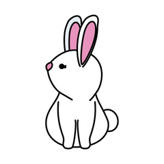 cute rabbit character icon