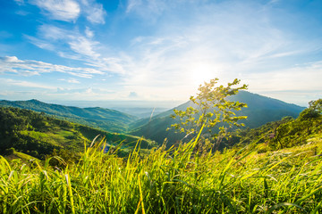 Obraz premium Mountains in bright days.13