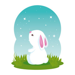 cute rabbit in the field character