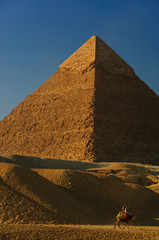 Obraz na płótnie Canvas ピラミッドと駱駝