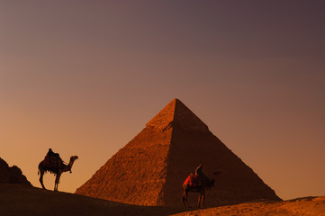 ピラミッドと駱駝
