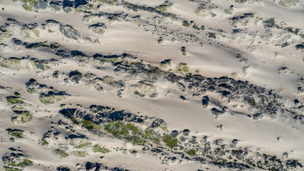 Pismo Dunes