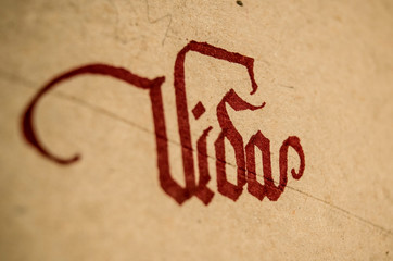 Close Up Calligraphy
