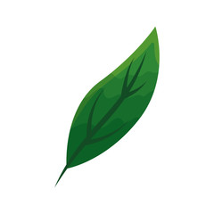 ecology leaf plant icon