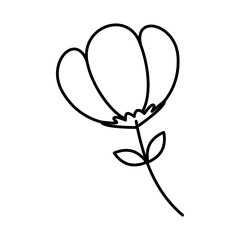 beautiful flower decorative icon