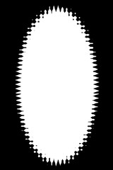 Abstract Oval Decorative Black & White Photo Border / Edge. Type Text Inside, Use as Overlay or for Layer / Clipping Mask 