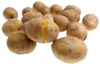 Boiled potatoes isolated on white background