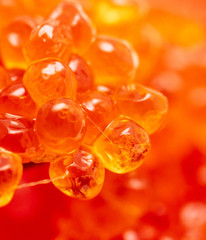 Red caviar as an abstract background