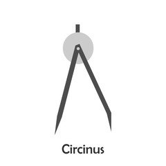 Circinus in cartoon style, school card for kid, preschool activity for children, vector illustration