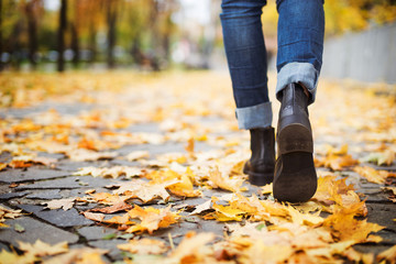  Walk through the autumn leaves