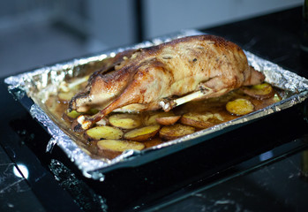 turkey grilled