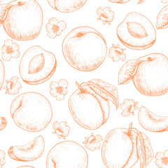 Apricots and flowers. Vector seamless pattern. Vintage style