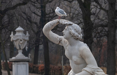 Statue and seagull