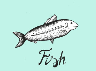 Fish hand drawn cartoon illustration