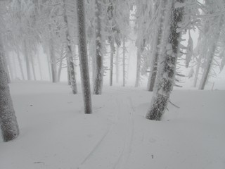 Obraz premium beautiful winter lanscape skitouring in the alps