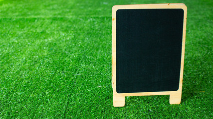 board on green grass