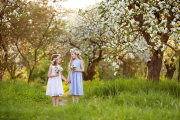 Naklejka na ściany i meble Beautiful young girls in long dresses in the garden with blosoming apple trees. Smiling girls having fun and enjoying