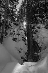 crevasse in winter forest