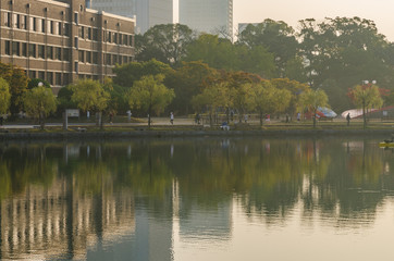 Fototapeta premium 大濠公園の朝の風景