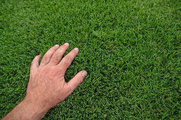 Hand touches lush green lawn