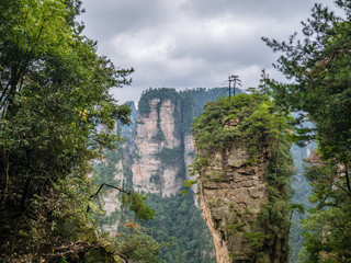 Beautiful mountain yalley of Yuanjiajie or Avartar mountain at Zhangjiajie National Forest Park in Wulingyuan District Zhangjiajie City China