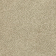 A textured brown leather background for designers